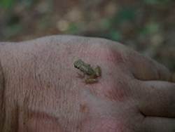 Some Signs of&nbsp;Spring