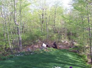 Early Morning Sunshine Early Morning Sunshine