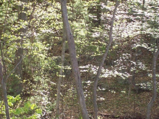 Early Morning Sunshine Early Morning Sunshine