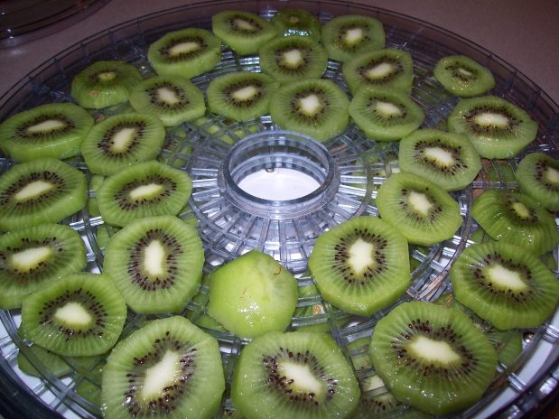 Dried Kiwis like really good gummy&nbsp;bears