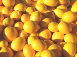 Meyer Lemons