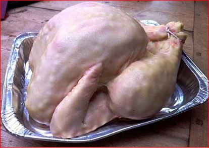 I Was Bored The Other Day –&nbsp;Chicken