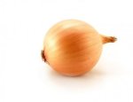 onion