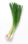 scallions