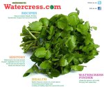watercress2
