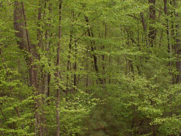 I like this time of&nbsp;year