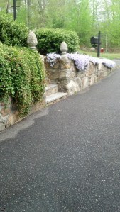 IMG_20130508_164430_497