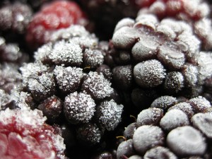 4003882014_6aba7bdc0e