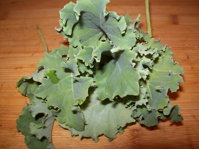 Our First Harvest of Kale