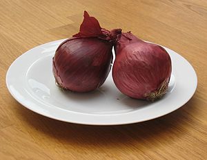 Red Onion Relish