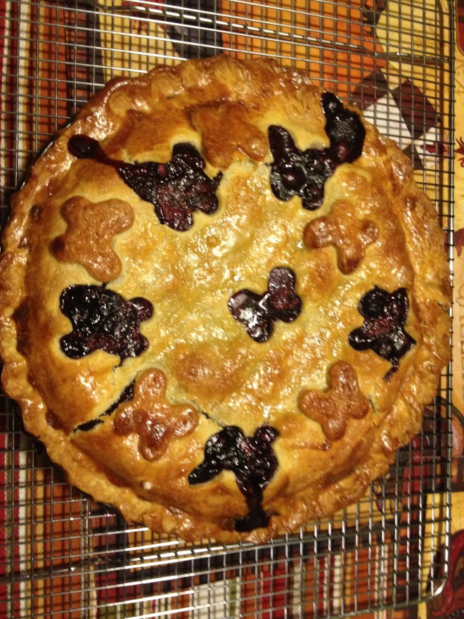 Joe's Blueberry Pie