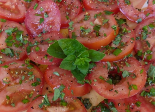 sliced tomotoes with oregano sliced tomotoes with oregano