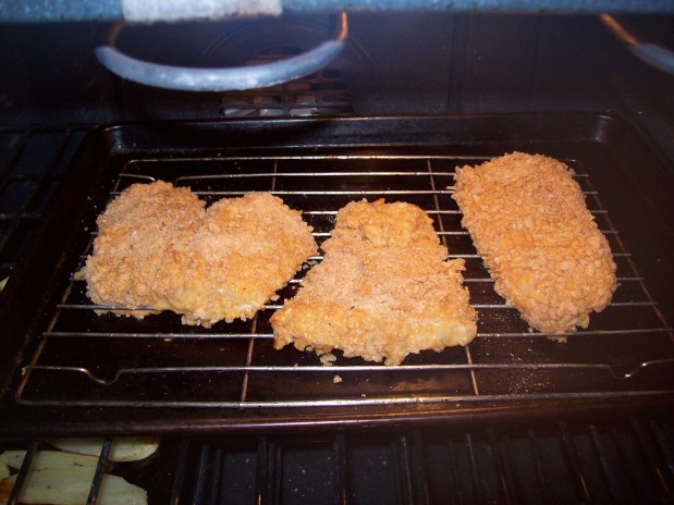 Reign On Brown Rice Cruncy Oven Fried Fish – Week&nbsp;7