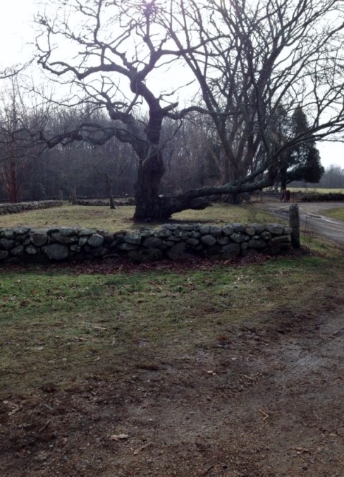 1498756_10151933169508143_1891604230_o