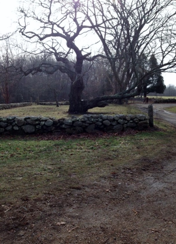 1498756_10151933169508143_1891604230_o