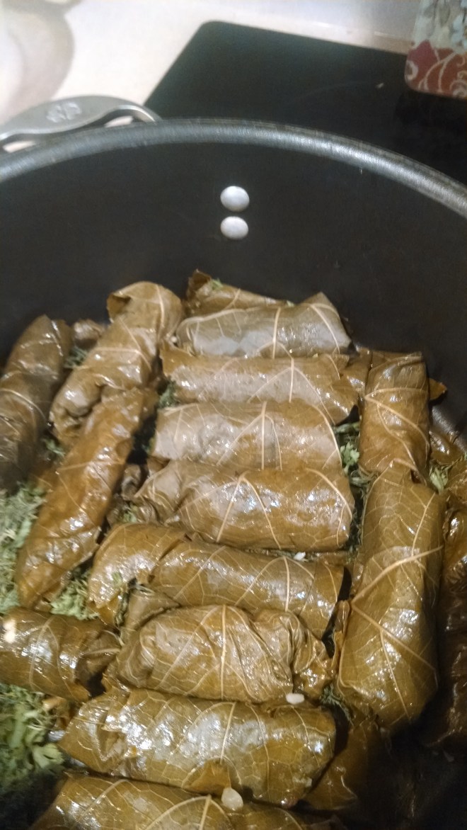 IMG_20140420_130114077