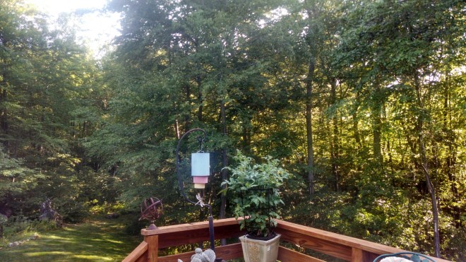 wp-1405168461614 image