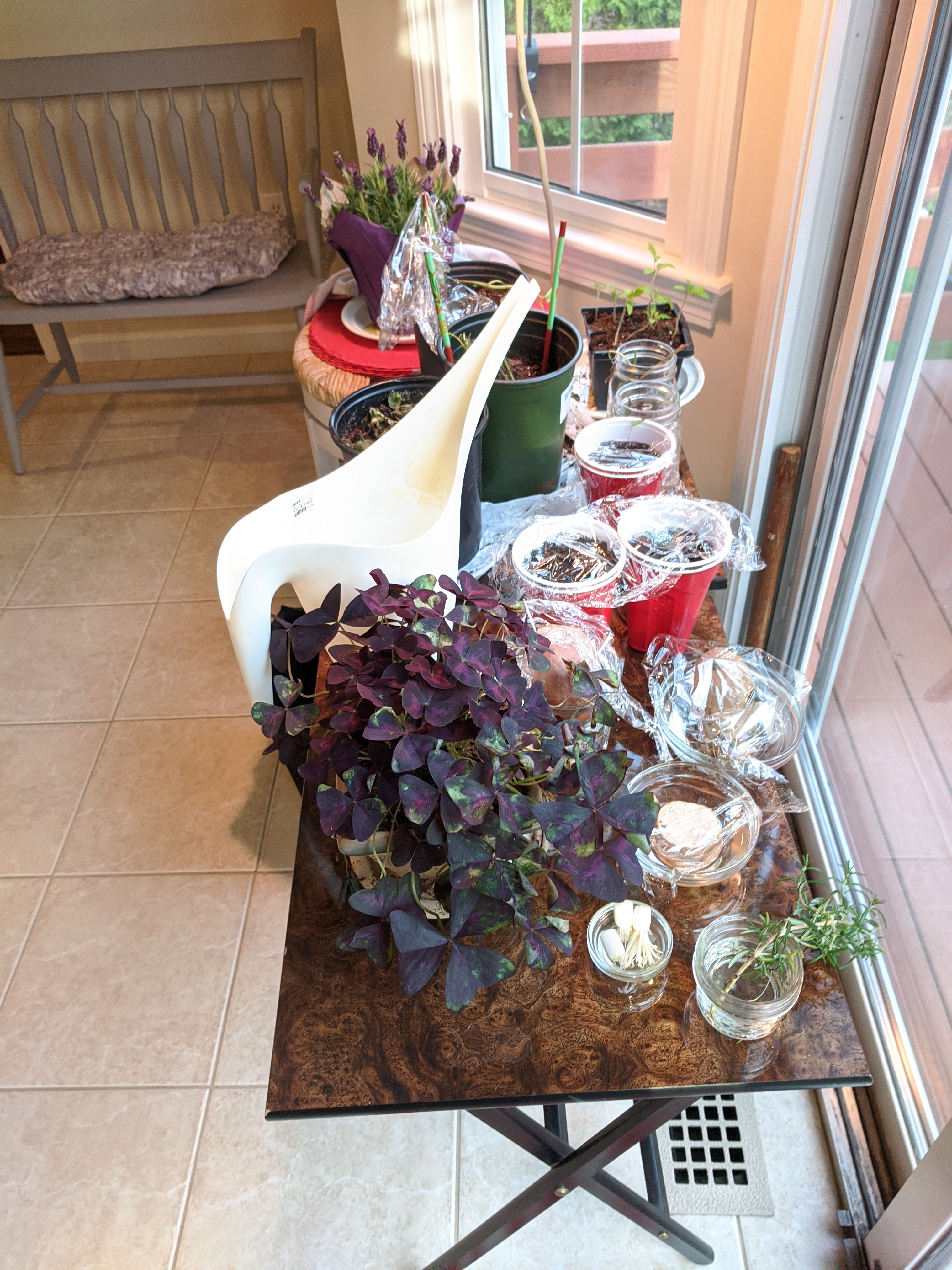 This image has an empty alt attribute; its file name is img_20210511_065507.jpg